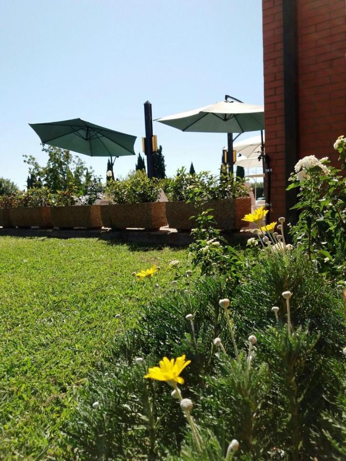 Meditur Hotel Pisa Migliarino Pisano Екстер'єр фото